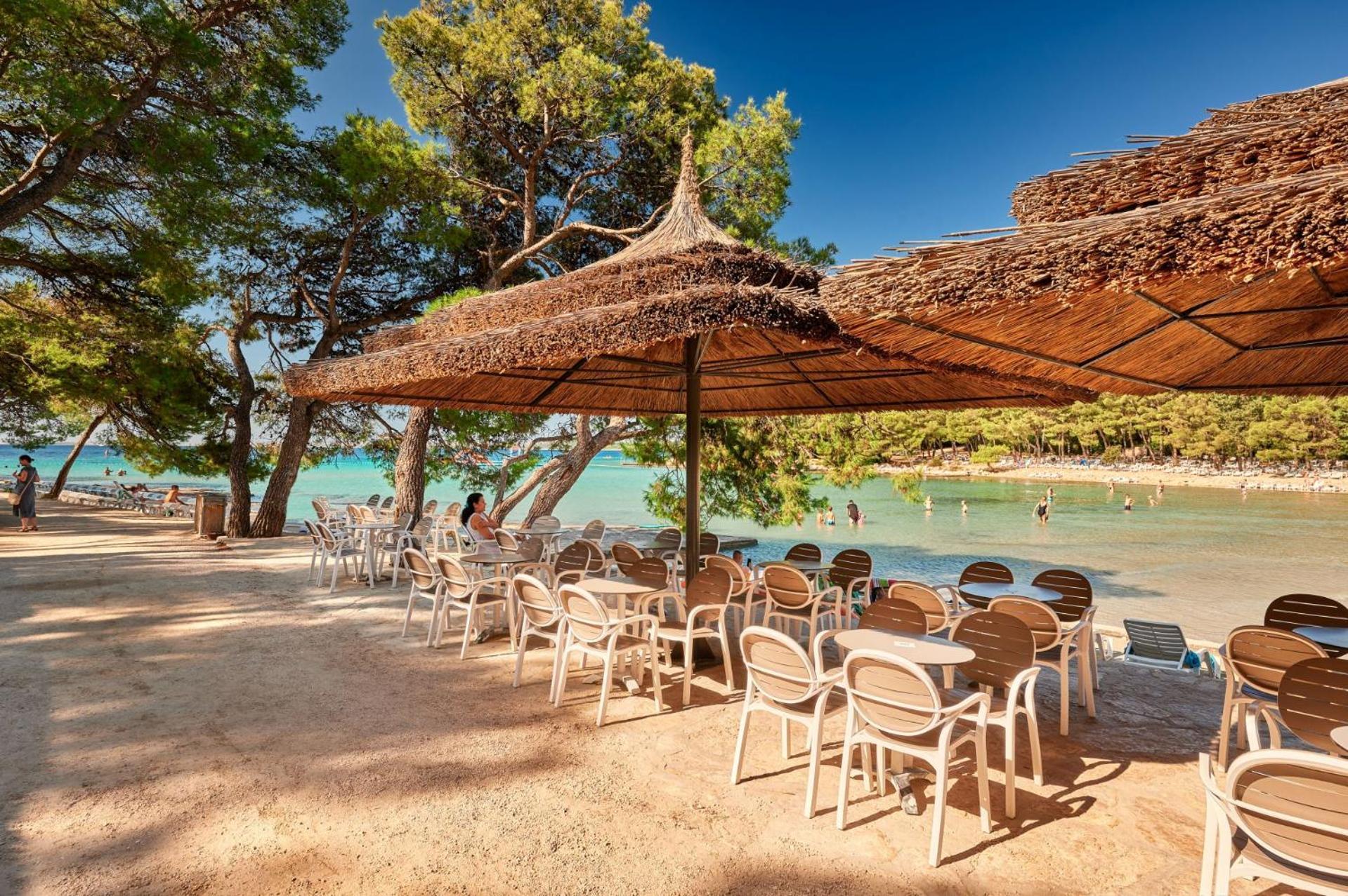 Park za odmor Pine Glamping Homes